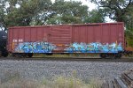 CAMY 1028